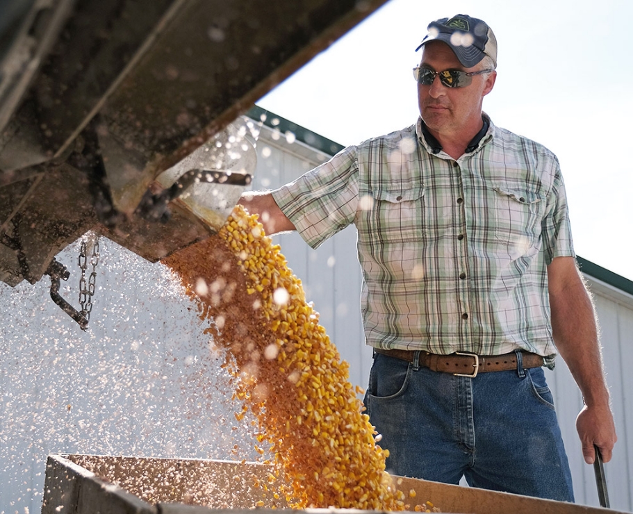 Hand Crafted Kernels
