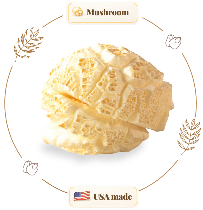 Mushroom Popcorn