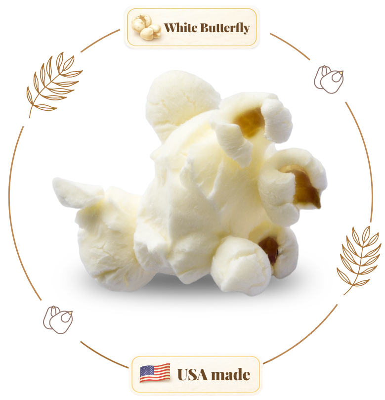White Butterfly